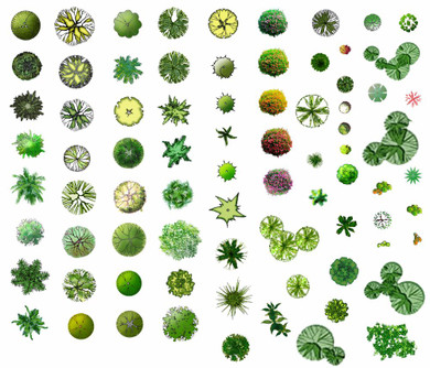 ★Photoshop PSD Blocks-Tree Plan PSD Blocks