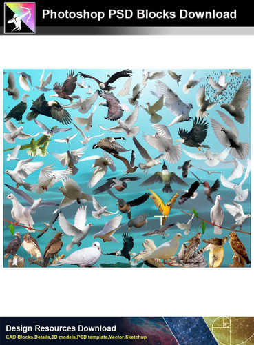 【Photoshop PSD Blocks】Bird PSD Blocks