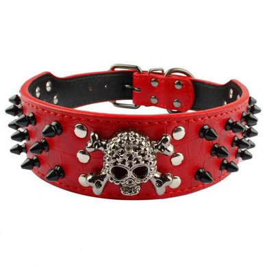 Skeleton Spiked Dog Collar