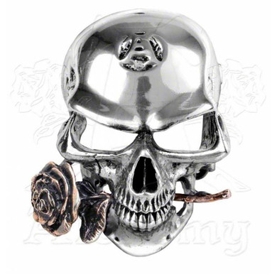 Alchemist Rex Belt Buckle, Alchemy Gothic