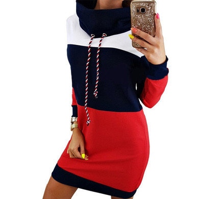 Turtleneck Long Sleeve Hooded Plus Size Sweatshirt Dress