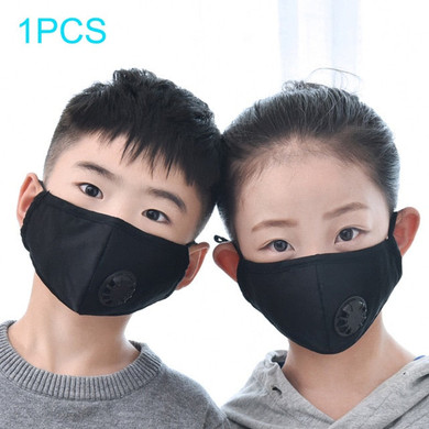N95 Filter Mask