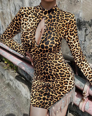 Mock Neck Leopard Keyhole Tassel Detail Dress