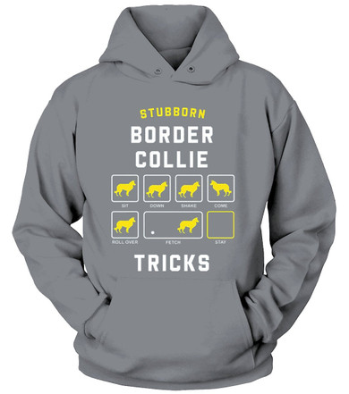 STUBBORN DOG Border Collie