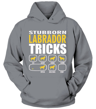 STUBBORN DOG Labrador