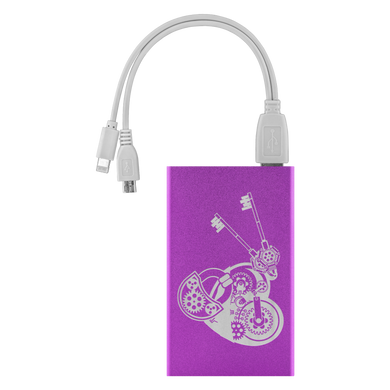 Steampunk Heart Power Bank