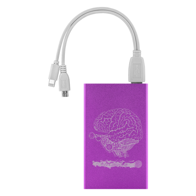 Steampunk Brain Power Bank