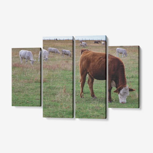 Grazing Cows 4 Piece Canvas Wall Art for Living Room