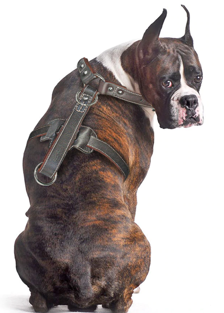 Real Leather Dogs Pet Training Vest With Quick Control Handle