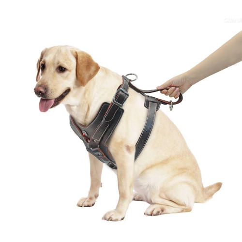 Real Leather Dogs Pet Training Vest With Quick Control Handle