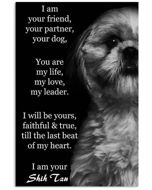 Shih Tzu I Am Your Friend Poster, Dog Decorations Dog Wall Art