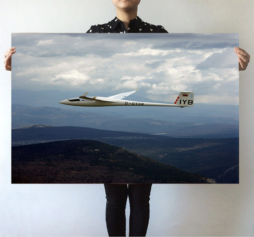 Cruising Glider Printed Posters