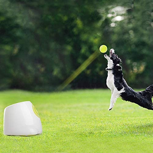 AFP Power Automatic Ball Launcher for Small, Medium Large Dogs