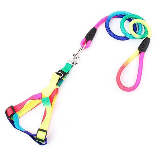 Dog Harness and Leash in LBGTQ Diversity and Inclusion Rainbow Colors