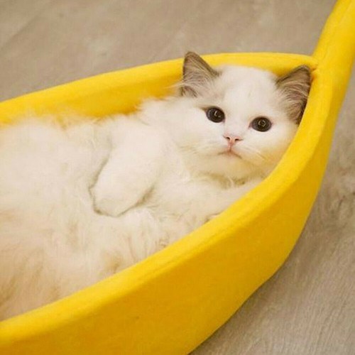 Comfy Cute  Bed "Banana Split" Warm Durable Pet Bed for Cats/Dog