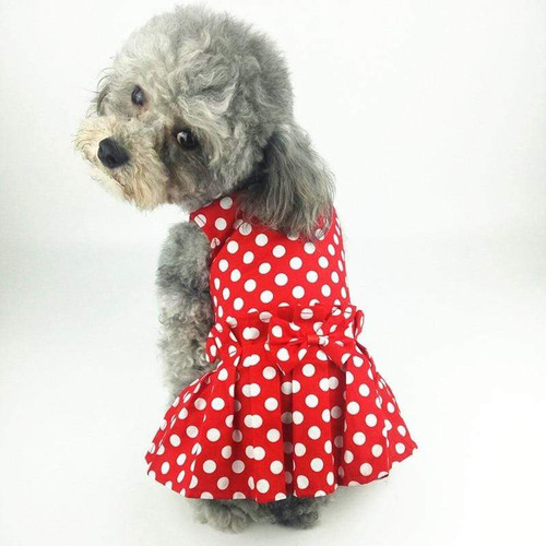 Small Dogs Dresses Lace Wedding Princess Skirt