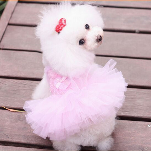 Dog Clothing Small Dog Clothes Summer  Free Shipping