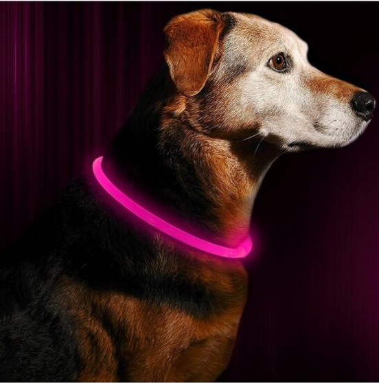 LED Rechargeable Dog Collar