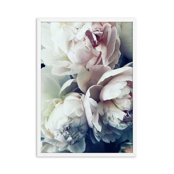 Blooming Peony Art Print