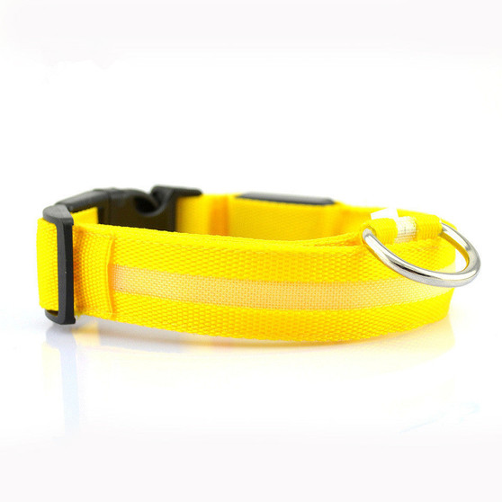 Dog LED Collar Light Night