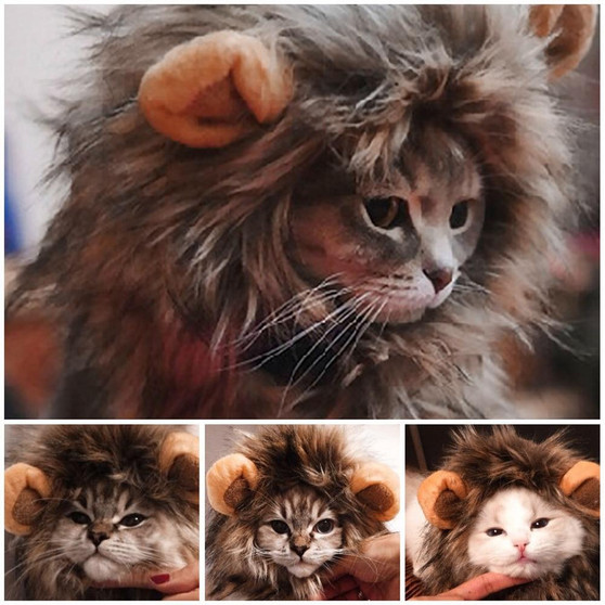 Funny Mane Cat Costume