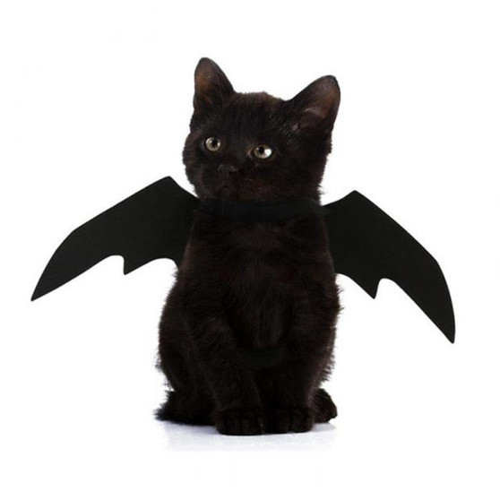 New OLN Pet Bat Wing Cosplay Prop