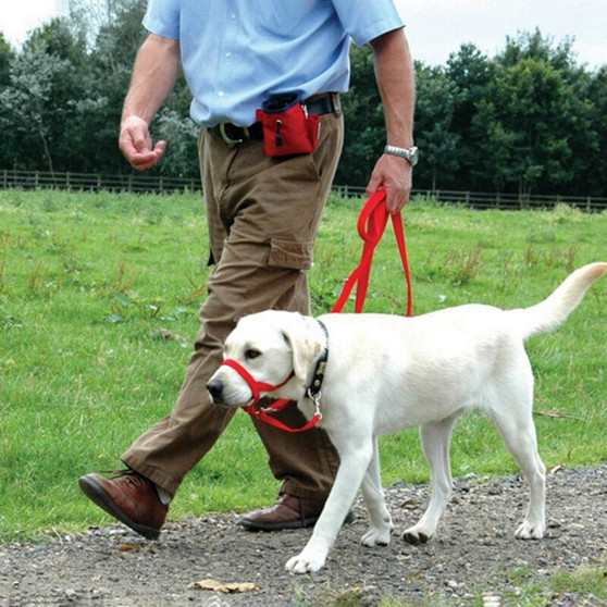 Dog Mouth Cover Traction Rope Training