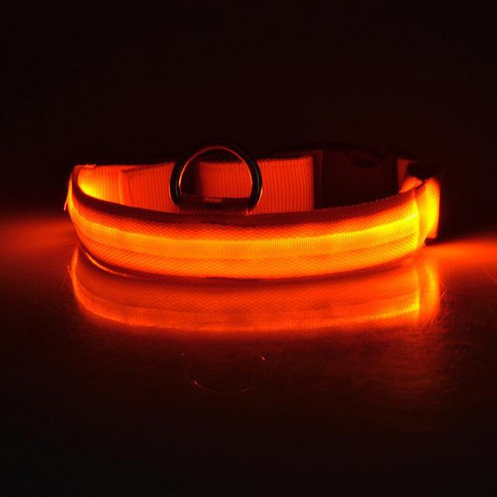 Safety LED Night Glow Pet Collar