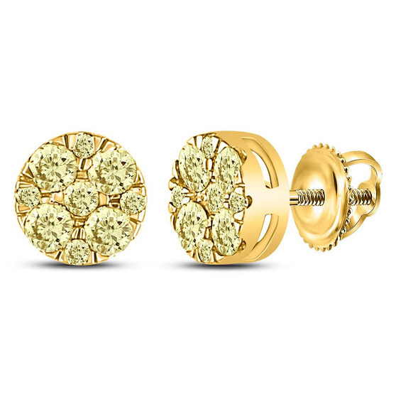 Earrings |  14kt Yellow Gold Womens Round Yellow Diamond Cluster Earrings 1/2 Cttw |  Splendid Jewellery