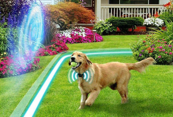 Wireless Dog Fence