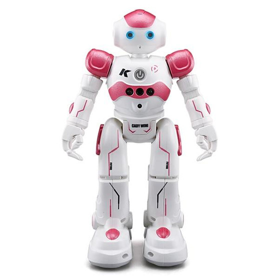 The Original Humanoid Robot Toy