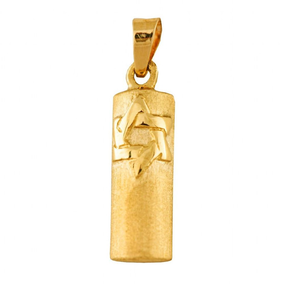 Mezuzah Pendant Gold Star Of David