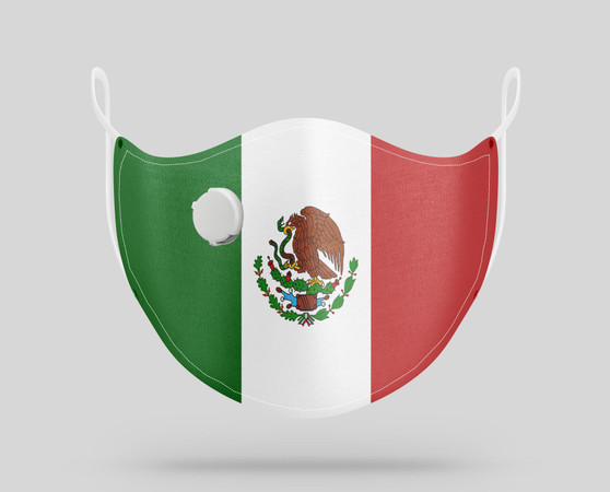 Mexico Flag Designed Face Masks