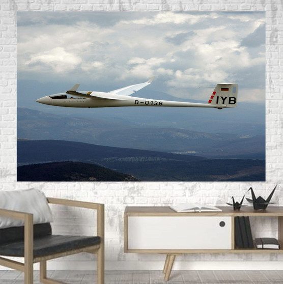 Cruising Glider Printed Canvas Posters (1 Piece)
