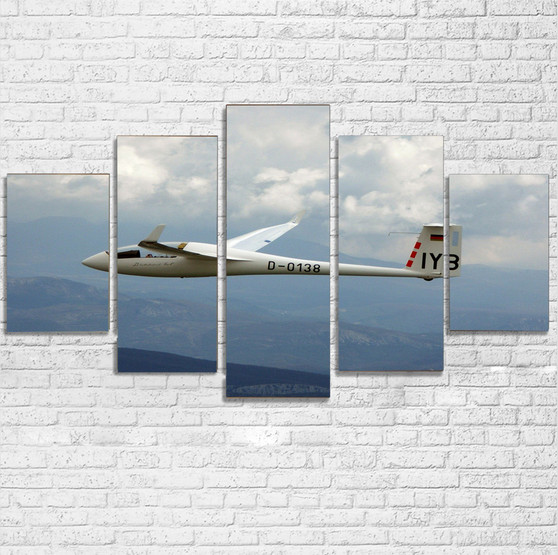 Cruising Glider Printed Multiple Canvas Poster