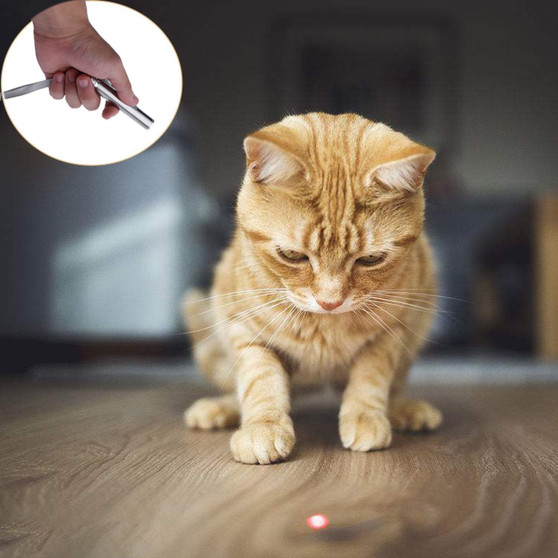 Loskii PT-31  USB Rechargeable Pet Toys Cat Training Toy Laser Pointer With LED Flashlight
