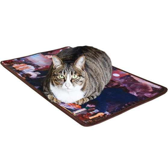 Warm Velvet Cat Mat