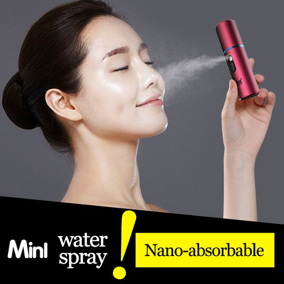 PRITECH Mini Face Steamer Nano Mister USB Rechargeable Facial Sprayer Beauty Spa Skin Portable Ultrasonic Humidifier Skin Care