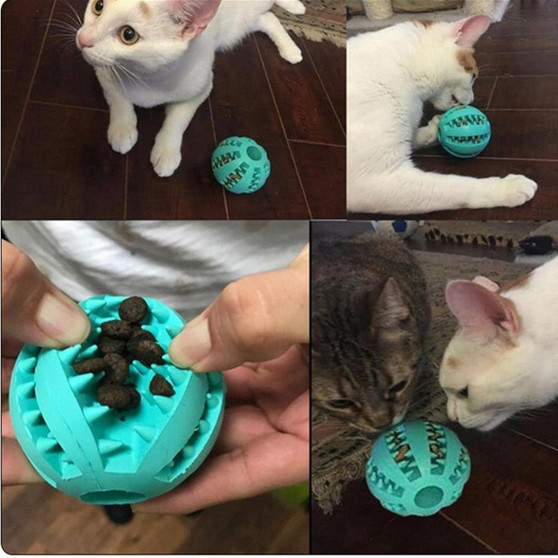 Interactive Cat, Dog's Balls.