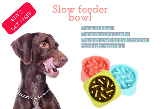 Slow dog feeder bowl