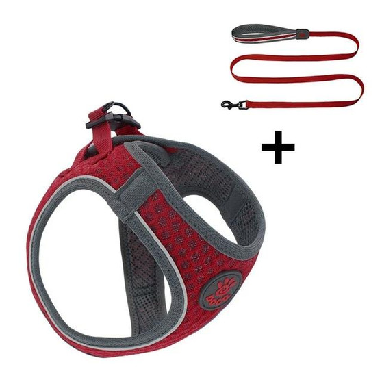Small Harness And Leash