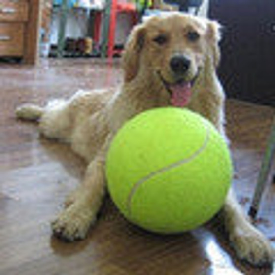 Giant Tennis Ball For Pet Chew Toy