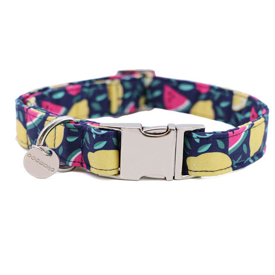 Watermelon & Lemon Dog Collar w/ Detachable Bow