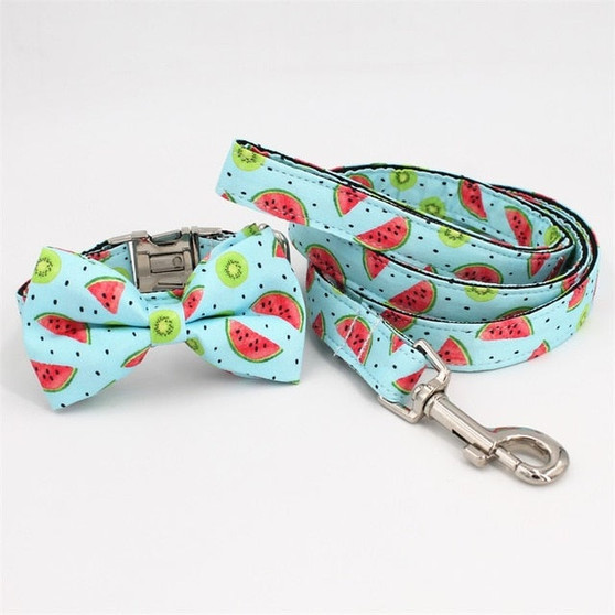Kiwi Watermelon Dog Collar w/ Detachable Bow