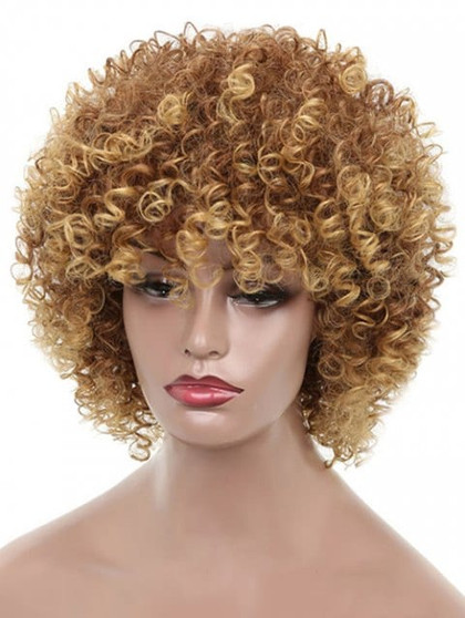 Foxwigs Lace Front Wigs Long Shaggy Colormix Afro Kinky Curly Hair Wig/Free Shipping