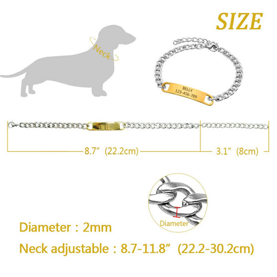 Pet Chain Collar