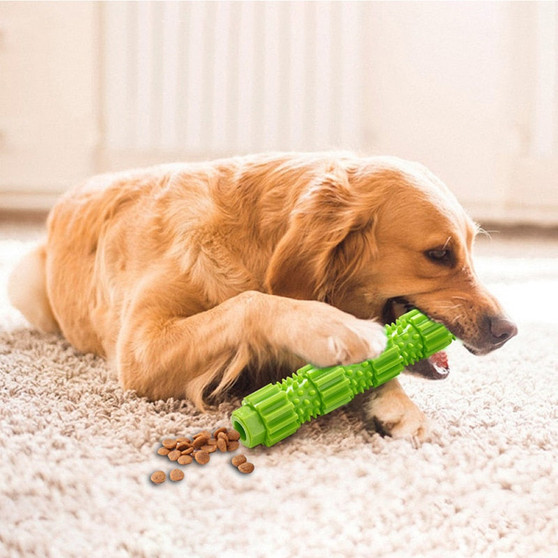 Soft Chew Toy for Dogs
