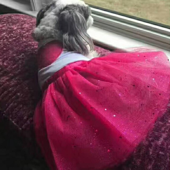 Dog Tutu Heart/Flower Puppy Princess Dresses
