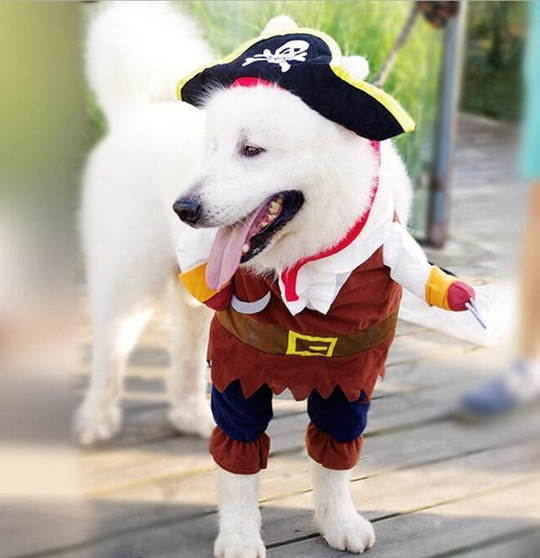 Funny Dog Costumes