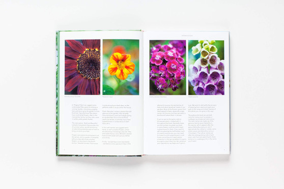 The Flower Garden: How to Grow Flowers from Seed